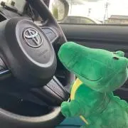 わにさんの画像