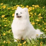 みんの画像