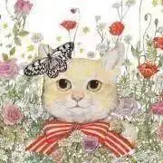 mirekahoの画像