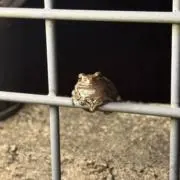 junの画像
