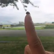 zooの画像