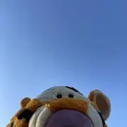 ちょこの画像