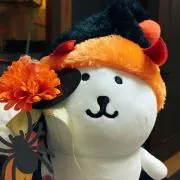ゆこたの画像