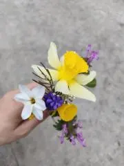 まみーの画像
