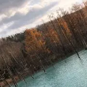 rukaの画像