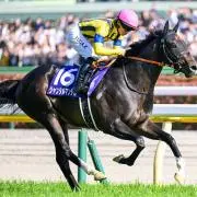 TKの画像