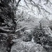 CASTERの画像