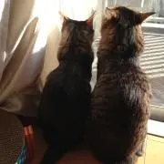 manami☆プロフお読みください☆の画像