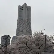 佐都子の画像