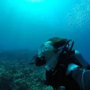ocean