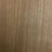 たけとんの画像