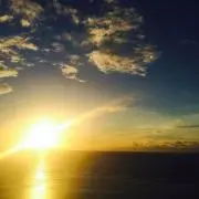 omimoの画像