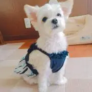 みうまあく（プロフ読んで下さい^ ^）
