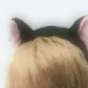 ひまわり