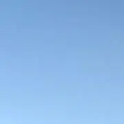 マサの画像