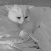 そらの画像