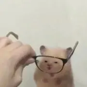 なちゃの画像