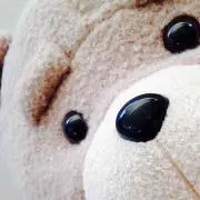 Kの画像