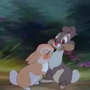 saran