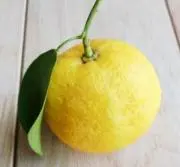 yuzuの画像
