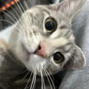 うーぱー。 7/10〜7/13発送不可の画像