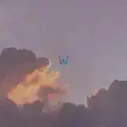 リの画像