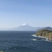 もなかの画像