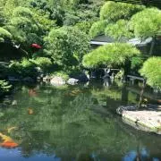 クラブゆみママの画像