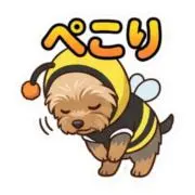 せんちゃんの画像