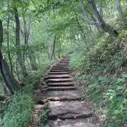 ホワろの画像
