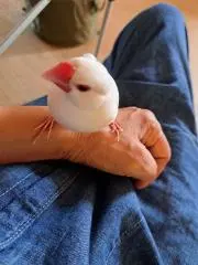 ♥もっず♥