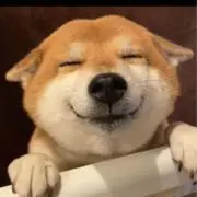 ねこもち ★グッズ整理の画像