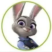 Judyの画像