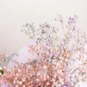 st (断捨離中)の画像