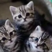 ym⭐の画像