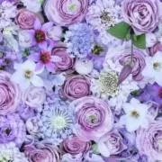 はるみの画像