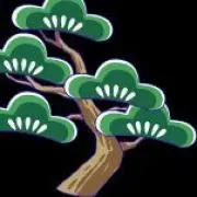Pine☆の画像