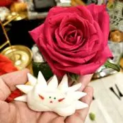 Kippoの画像