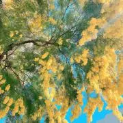 IKEA○トラナロー○TRANARO○サイドテーブル○2個セット○OLDIKEA