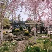 ほのか