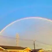 かーくんの画像