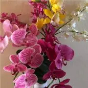 ルンルンのお店の画像