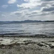いけの画像