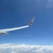 ジョー