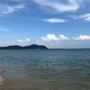 久々再開です。