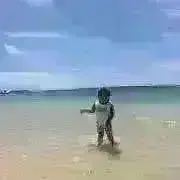 るけるけの画像