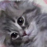 ニコバン