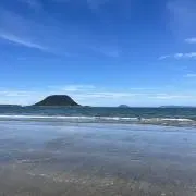すうの画像