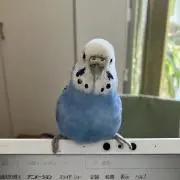 kyonyaの画像