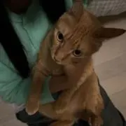 あい⠀